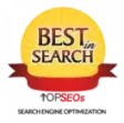 Search Engine Optimization